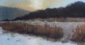 art of Jan Frazier